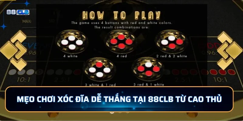Xóc Đĩa 88CLB: Game Đổi Thưởng Hấp Dẫn,Chơi Dễ Chơi Dễ Thắng 4 Mẹo chơi xóc đĩa dễ thắng tại 88CLB từ cao thủ